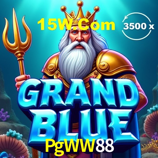 Interface Premium PgWW88